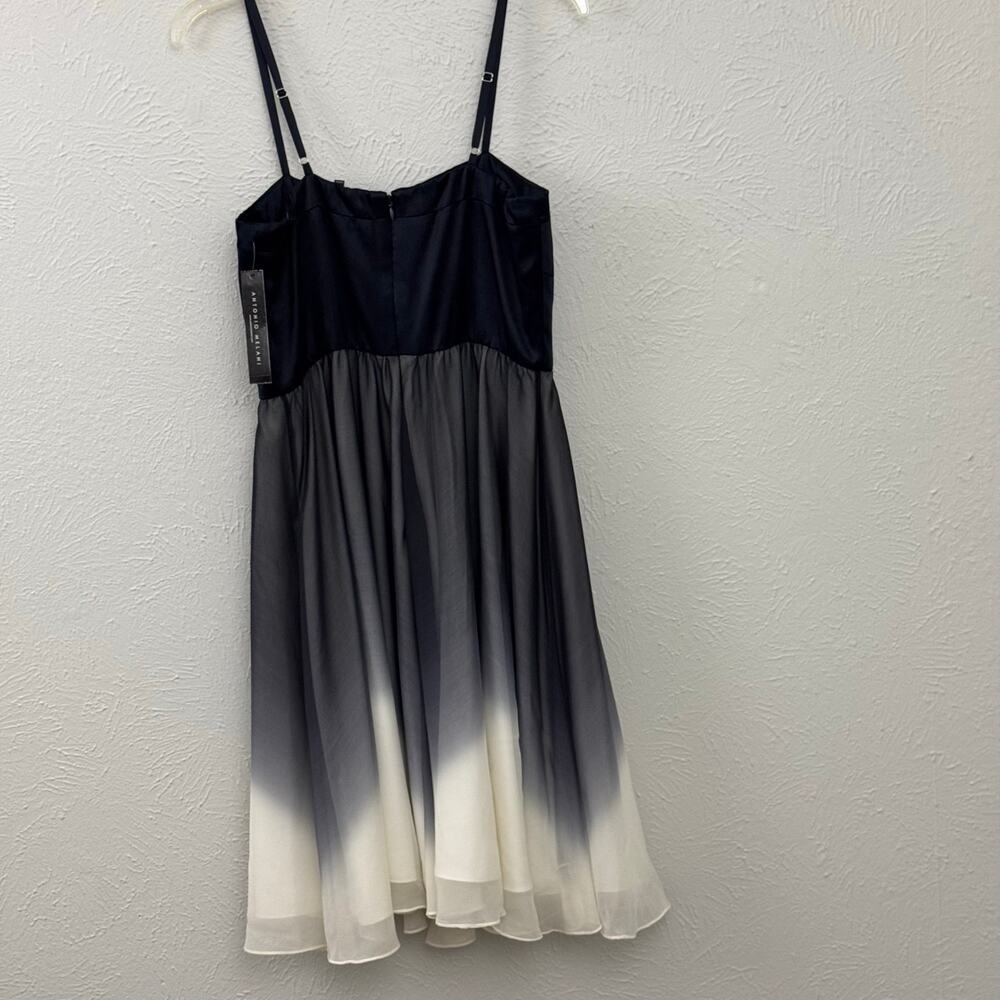 NWT Antonio Melani Formal Ombré Sleeveless Dress - Picture 6 of 10